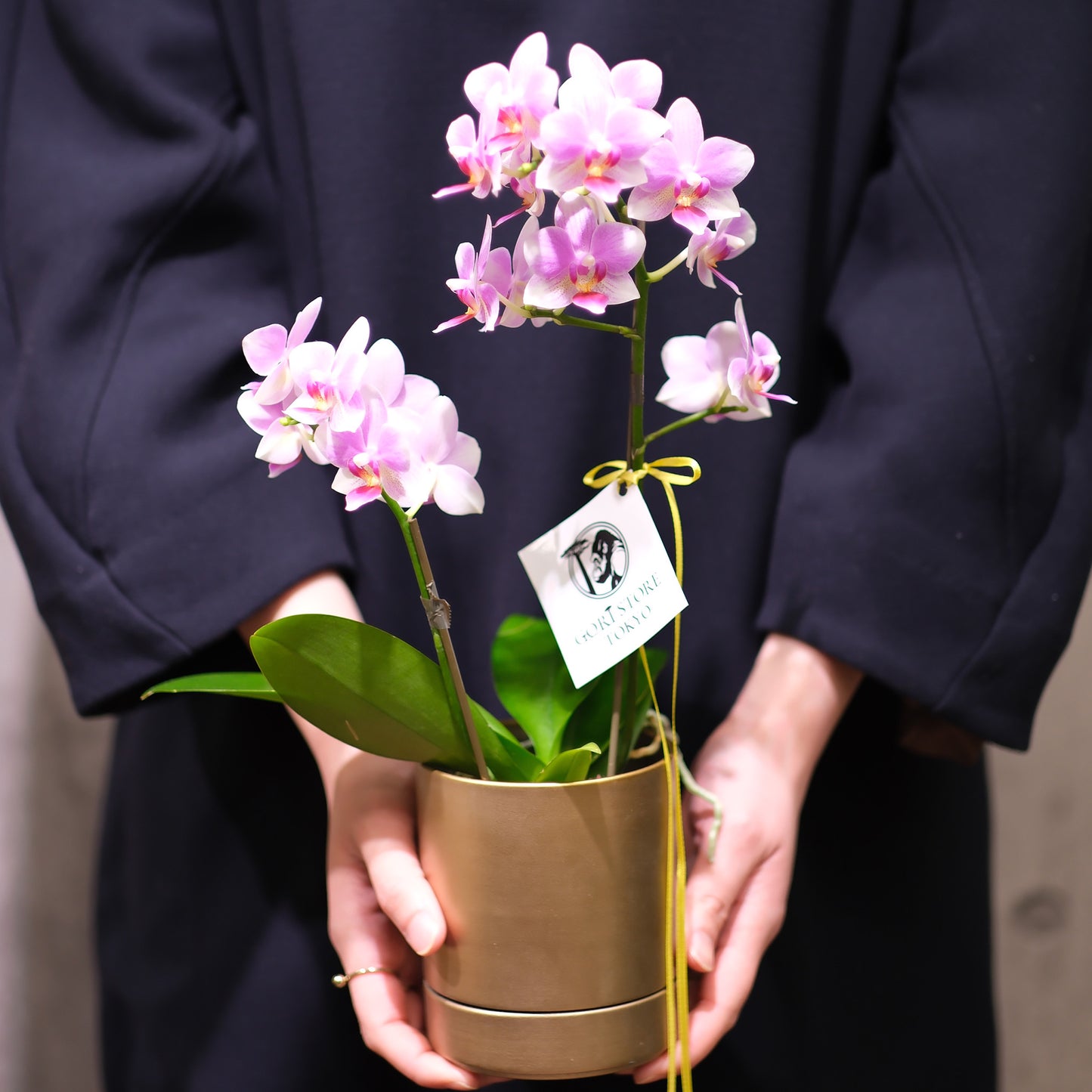 GORI Mother's Day Fragrant Orchid