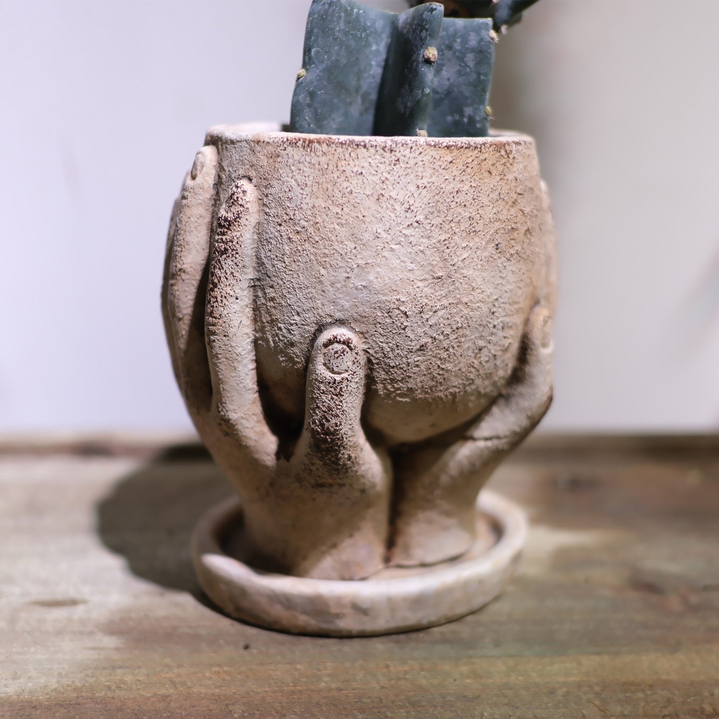 柱サボテン ブランチ Antiquehand