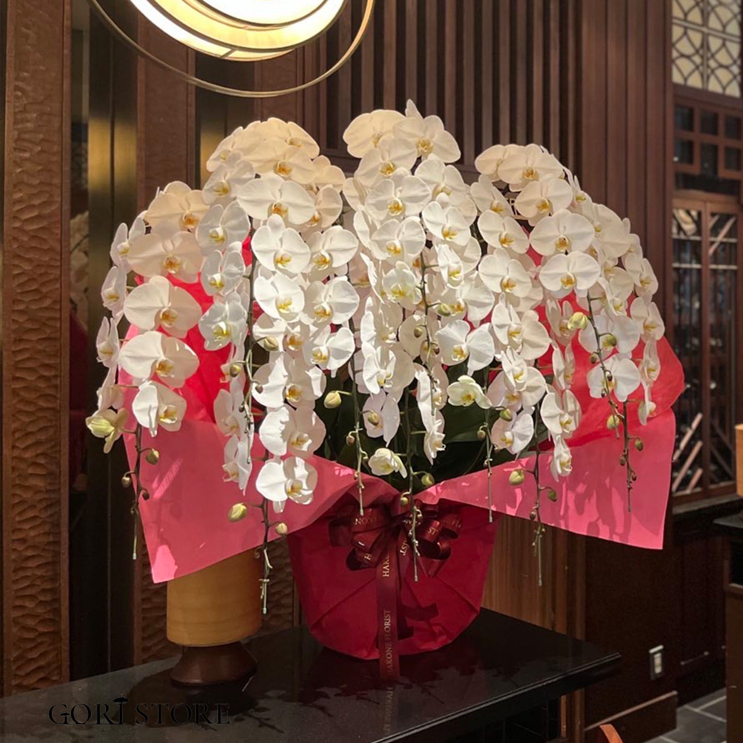 Queen's Premium 胡蝶蘭10本立