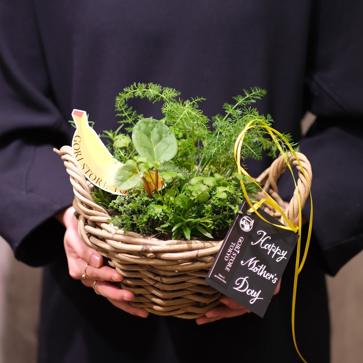 GORI Mother's Day Cooking Herb Set