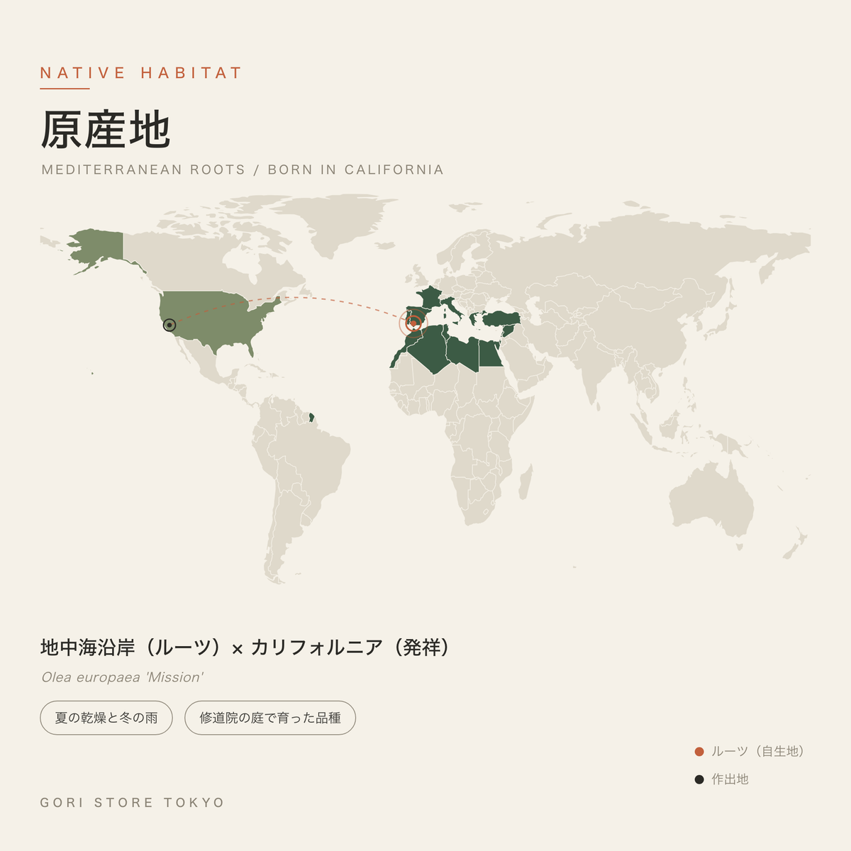 オリーブ(ミッション)の原産地マップ 地中海沿岸(ルーツ)× カリフォルニア(発祥) 夏の乾燥と冬の雨 修道院の庭で育った品種 GORI STORE TOKYO