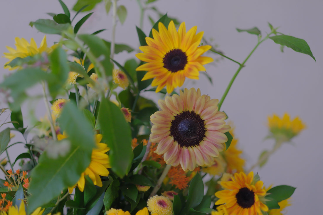 GORI日記｜猛暑とコロナ、ふたたび