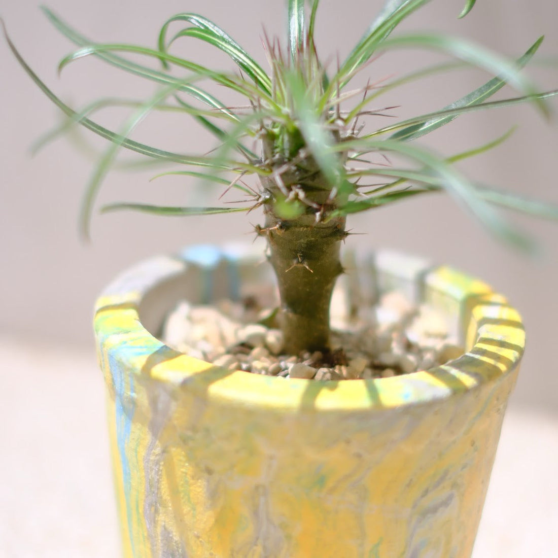 GORI日記｜“売れる”植物プロモーションとは？データ×SNSの最前線から学ぶ