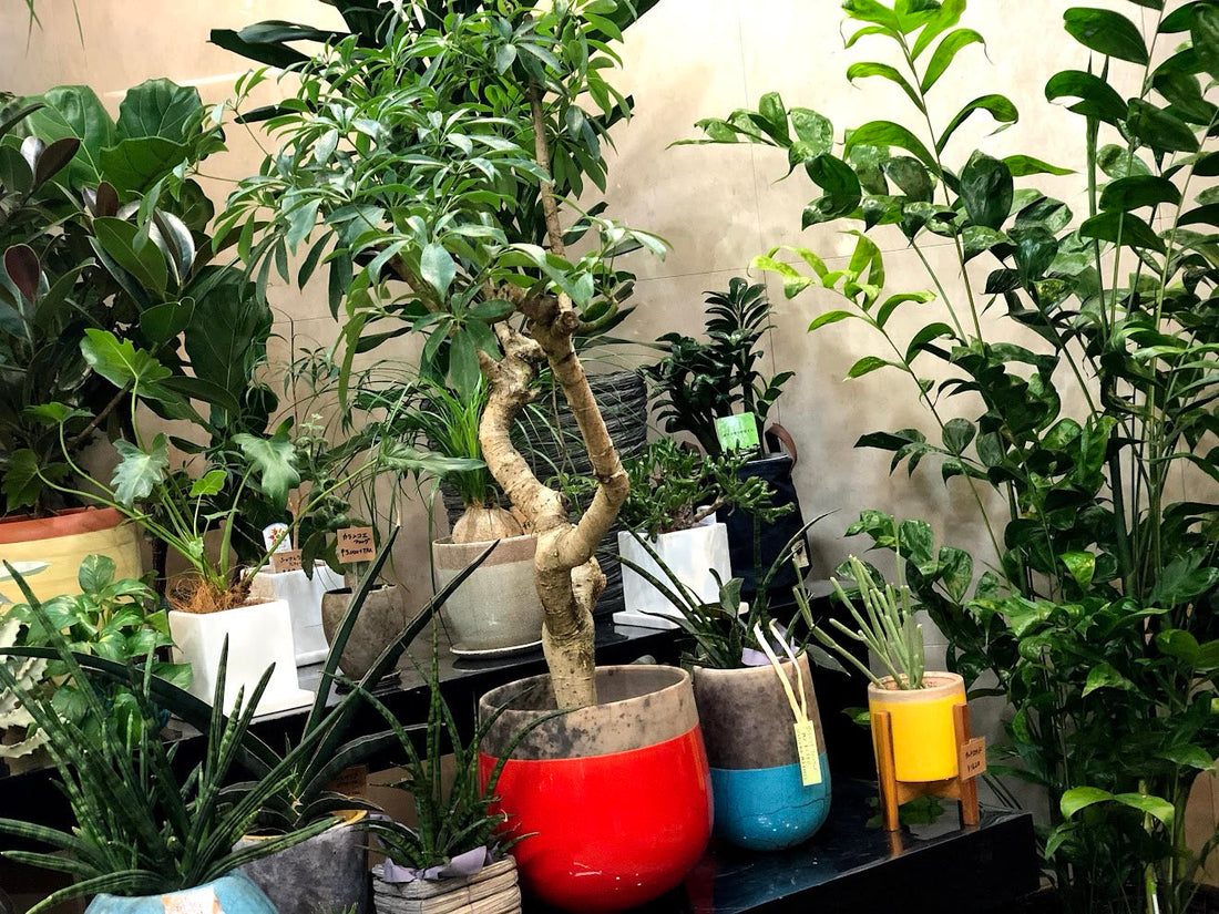 退職代行、経営者として正直に思うこと。【GORI日記】