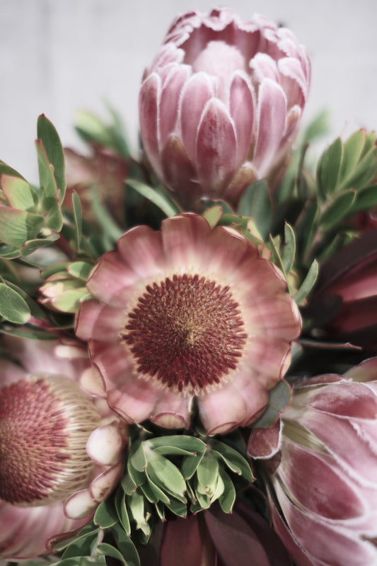 お客様からの声！