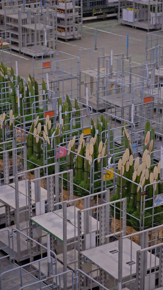 今年も残り7日。自問自答しながら迎える年末に思うこと