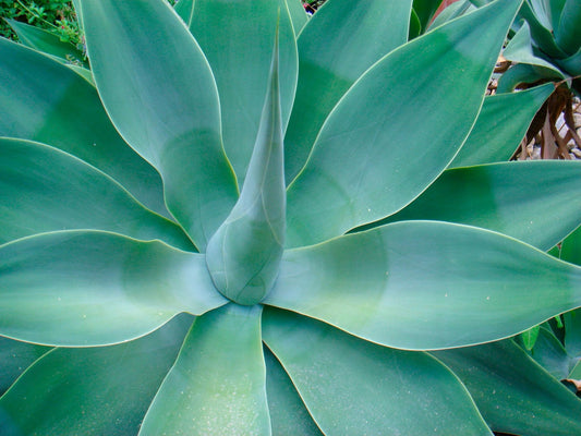 円安・ウォン安懸念｜日韓財務対話と為替が暮らしに与える影響