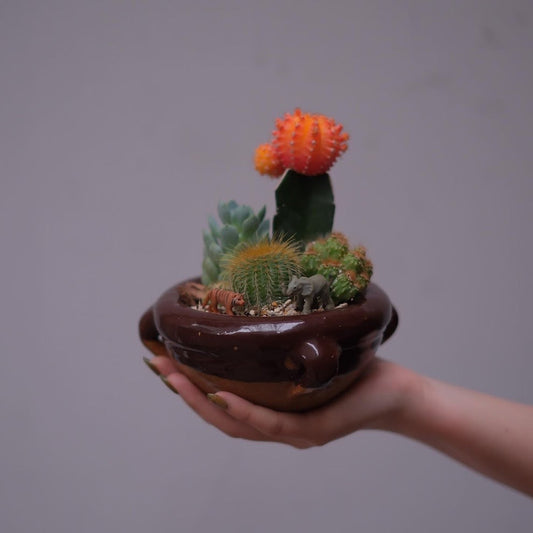 【GORI日記】NY株反落821ドル安から考える、経営者としての視点と植物の価値