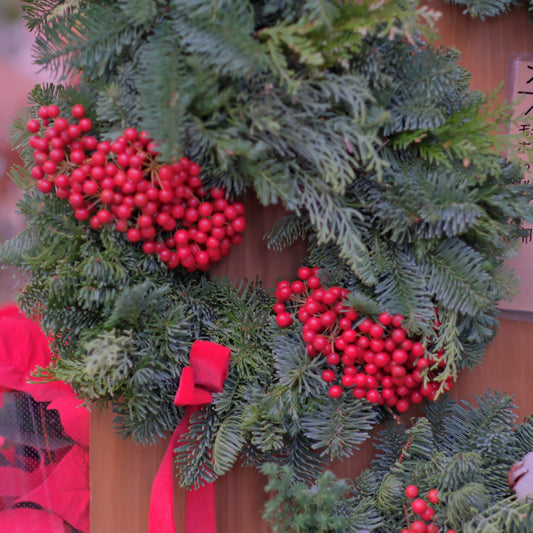 「人間の五感 ― 聴覚・視覚・味覚・香りが私たちの暮らしに与える影響とは？」