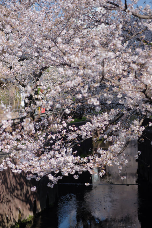 ホルムズ海峡の緊張と日常の仕事｜静かに進むという選択