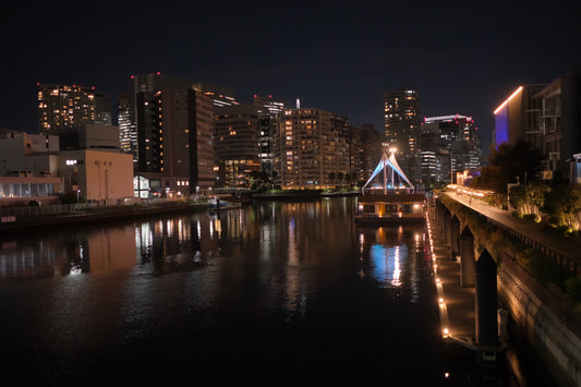 GORIが教える「植物と暮らすための空間づくり」｜光・風・配置で植物がもっと元気になる方法