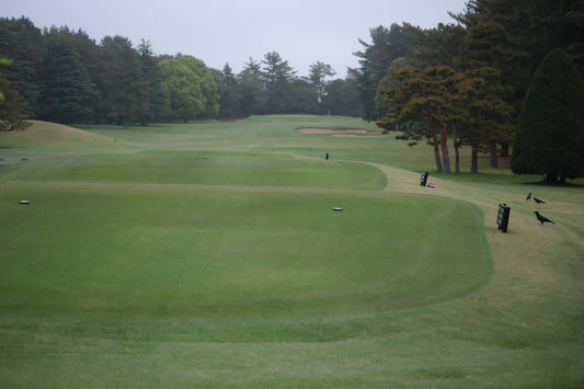 ゴルフ記念日　5月28日