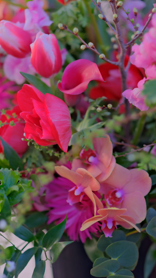 永田町の花屋が読む衆院解散報道｜高市政権と選挙前の街の空気