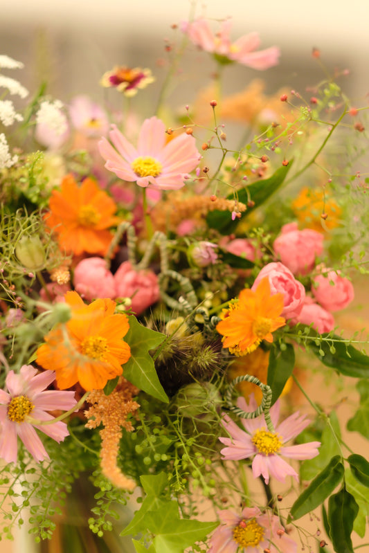 2025年JAPAN CUP 東京ブロック代表選考会