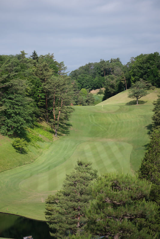 東京グリーンサービス協会　