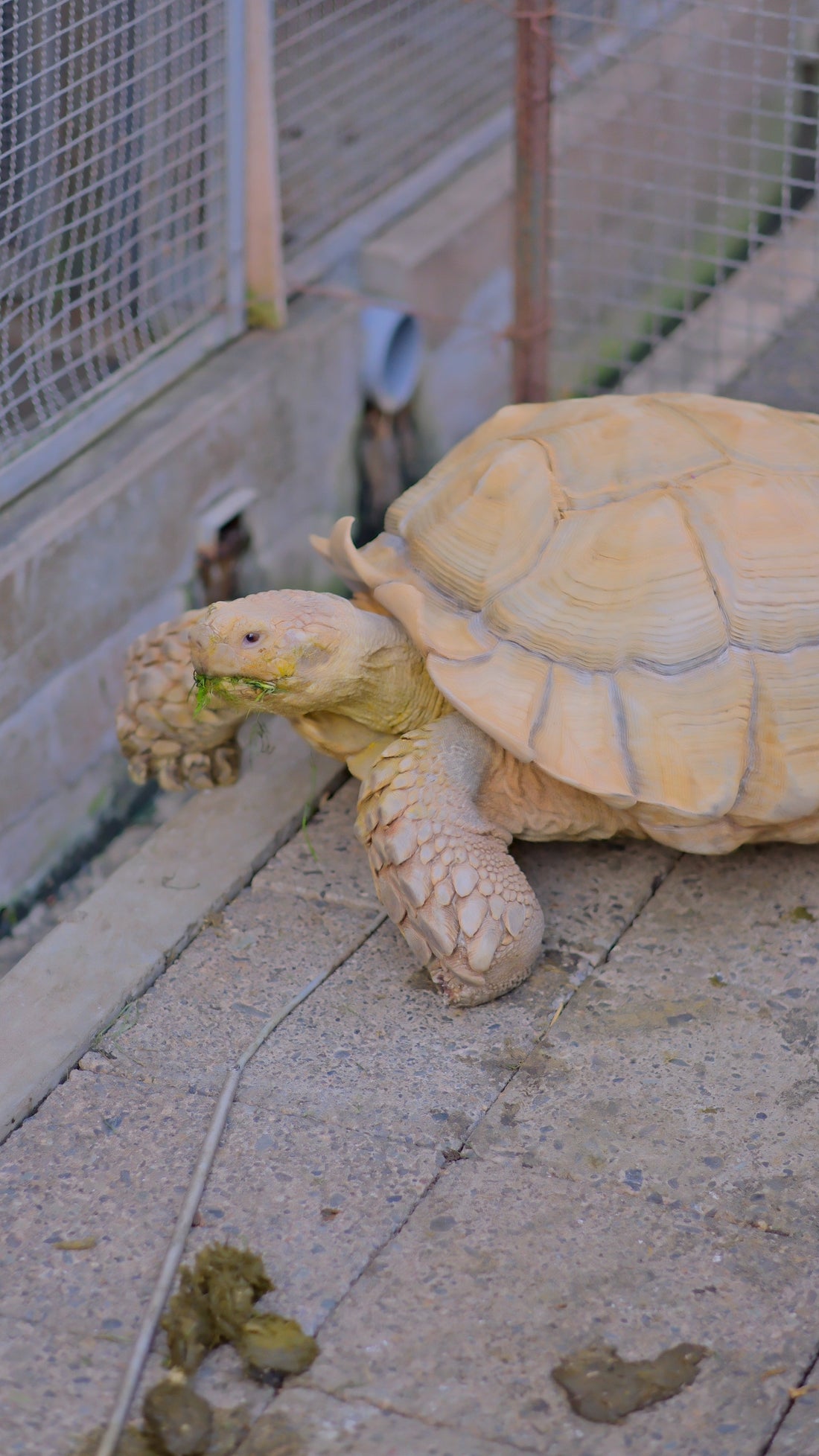 2025年最後のGORI日記｜植物屋GORIが一年を振り返って思うこと