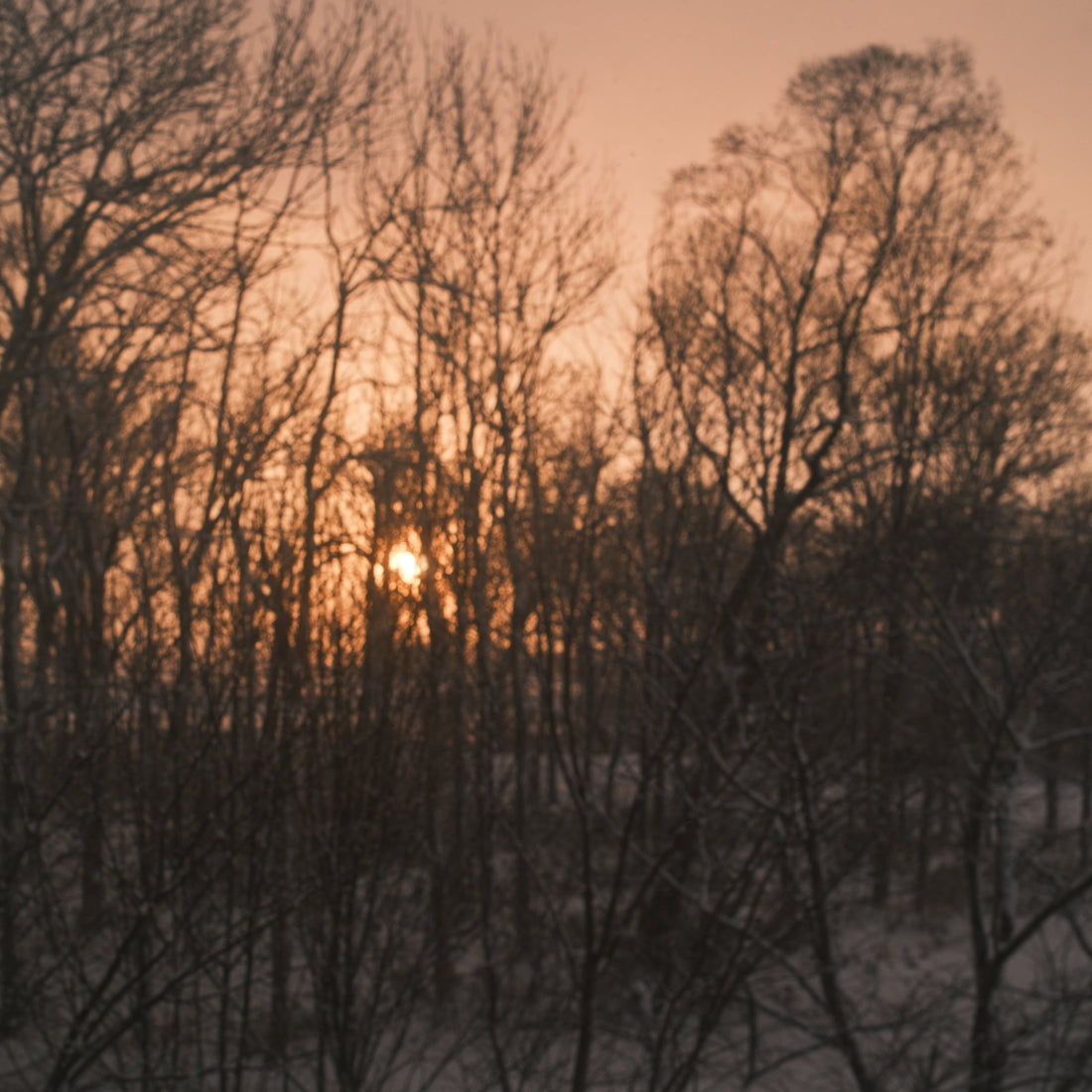 年賀状が消えていく時代に思うこと ― お正月の風景が静かに変わっている ―