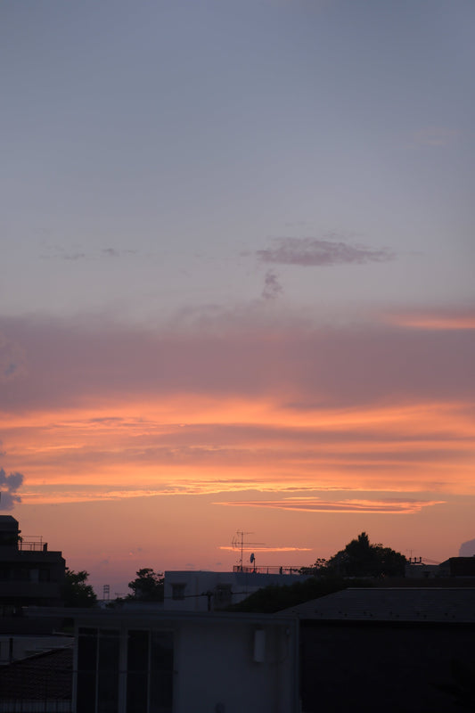 GORI日記：札幌・すすきの、熱気あふれるサウナ戦国時代