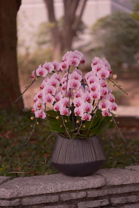 一年の早さに気づいたときに思うこと｜当たり前に感謝するという習慣