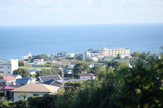 都会の喧騒から離れて—伊豆でリフレッシュして感じた自然の癒し