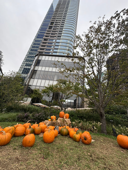 初めての麻布台ヒルズ訪問 　未来と緑の調和