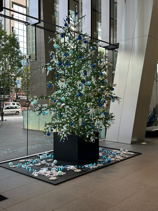 街がクリスマスモードに突入！イルミネーションが輝く季節へ