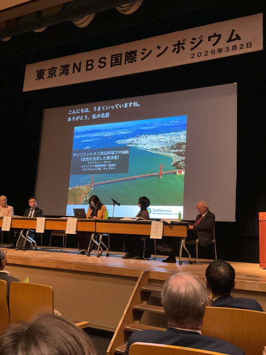 【東京湾再生×国際会議】江東区で開催｜Nature-Based Solutionsが描く水辺環境の未来