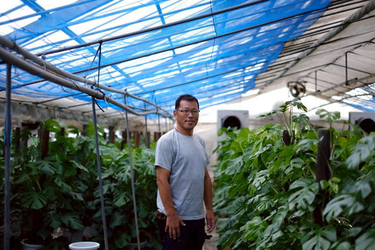 【GORI日記】観葉植物の生産現場へ ― 細谷園芸さん訪問記
