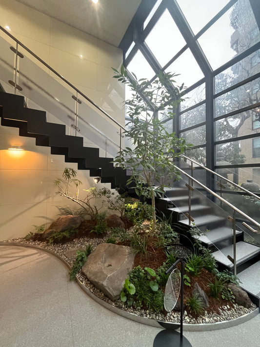 観葉植物の必要性