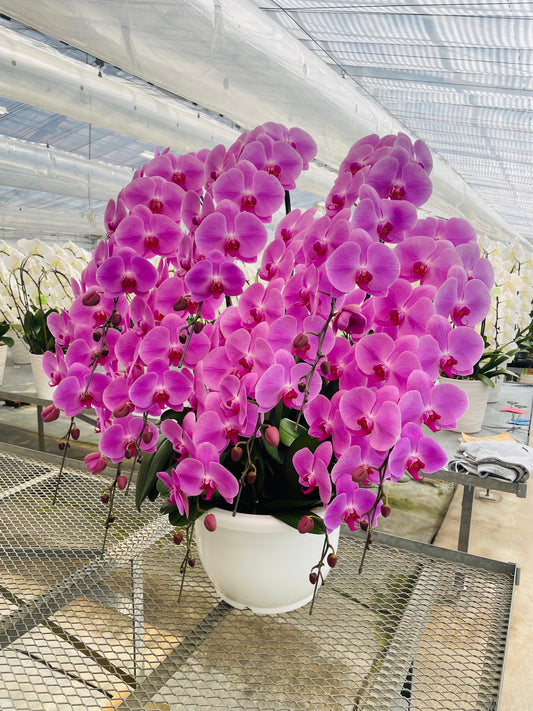 配達に行くとよく聞かれること。