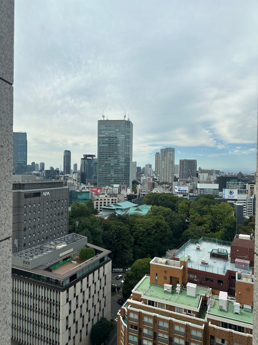 GORI日記：雨の曜日に思うこと