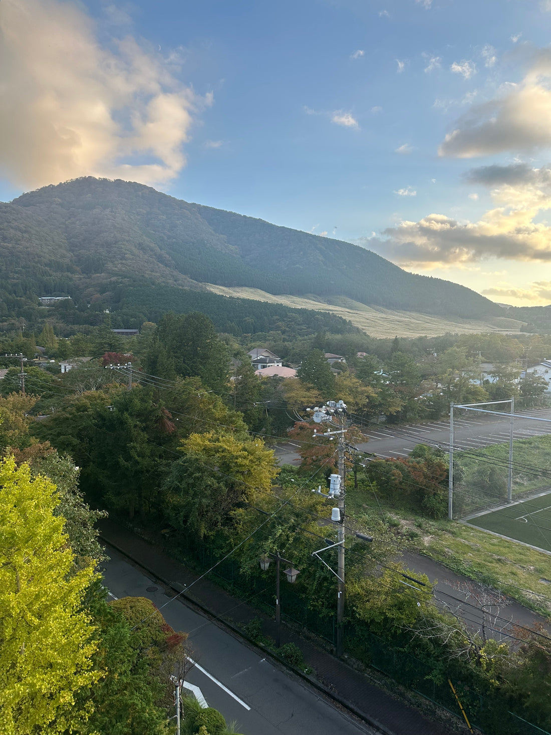 GORI日記：「手帳と花屋」