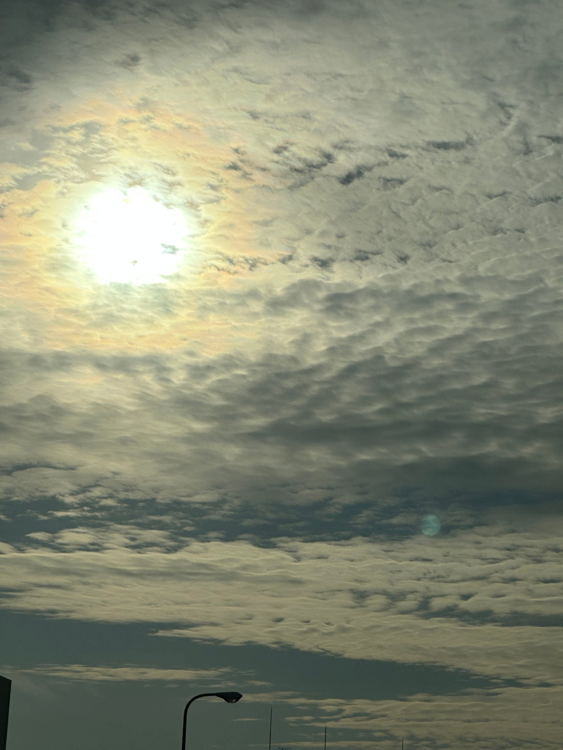 GORI日記：「月と人間」