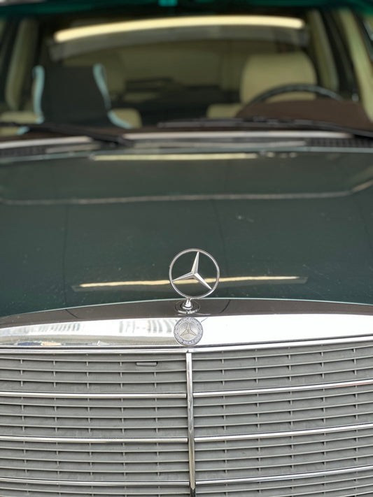 GORI日記：「食のロスと、心のゆとり」