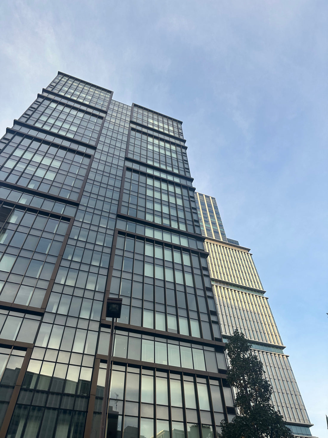 働き方と“植物のある暮らし”｜GORIが思う「週休3日」という選択