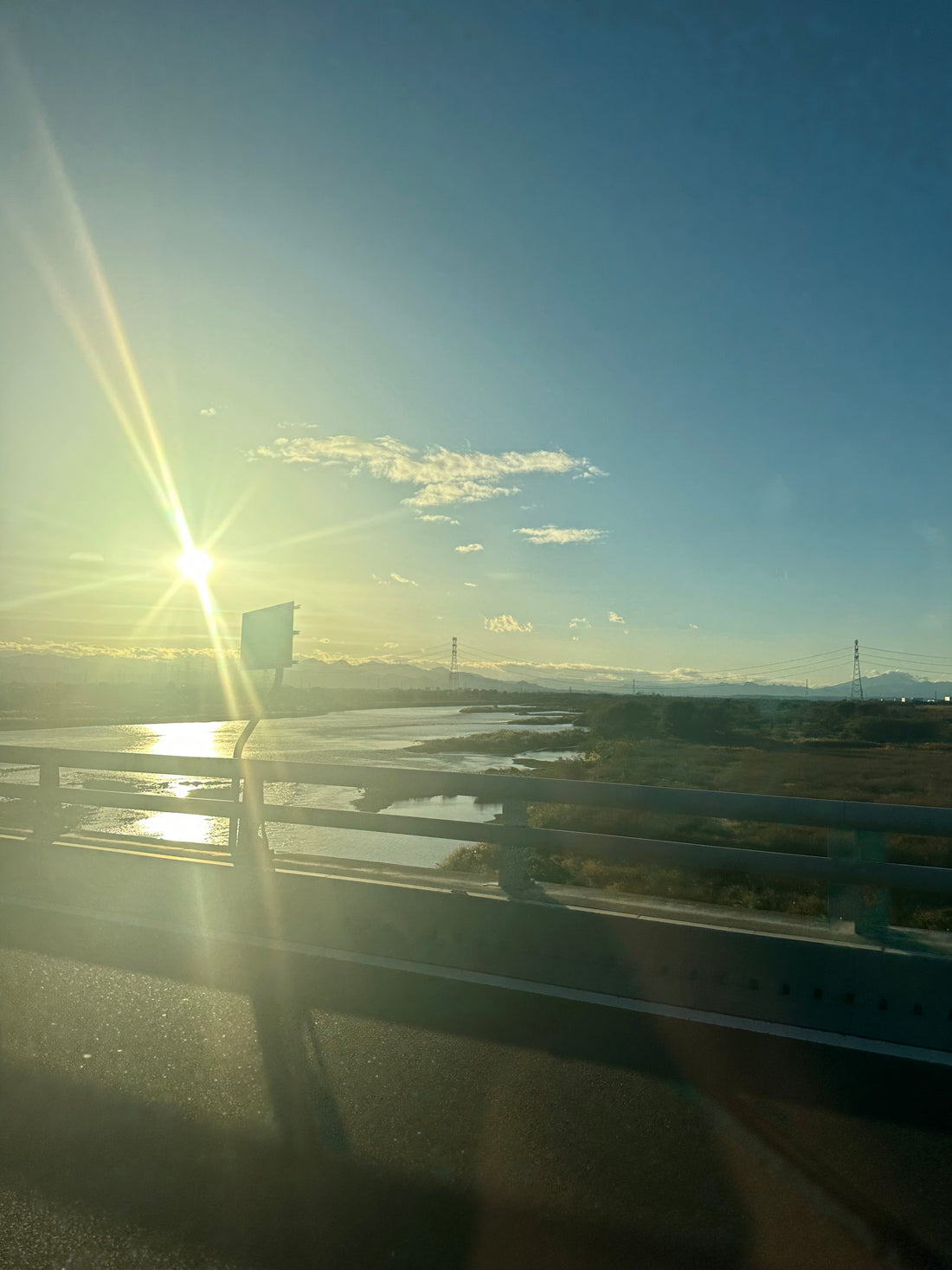 Z世代とYouTube、そして“植物を選ぶ時代”へ｜GORIの視点