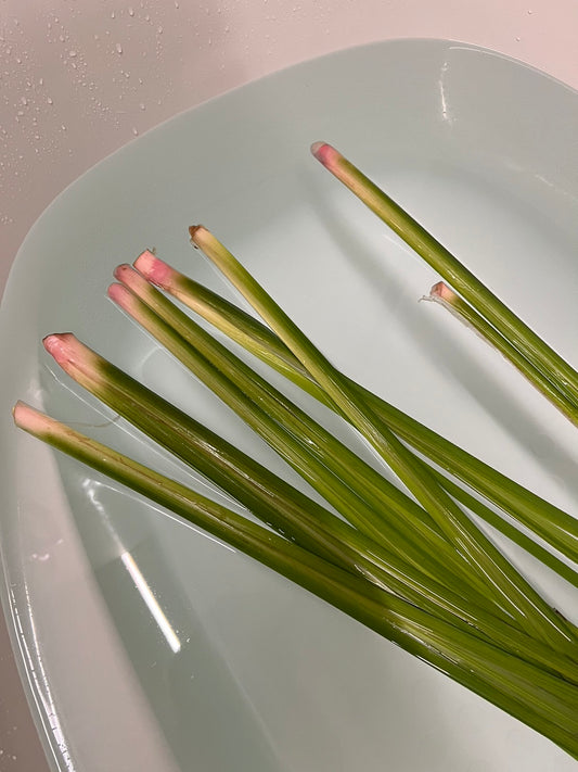 5月5日はこどもの日