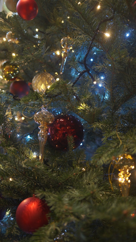 42歳、植物屋代表として感じる“植物と生きる仕事”の本当の魅力とは