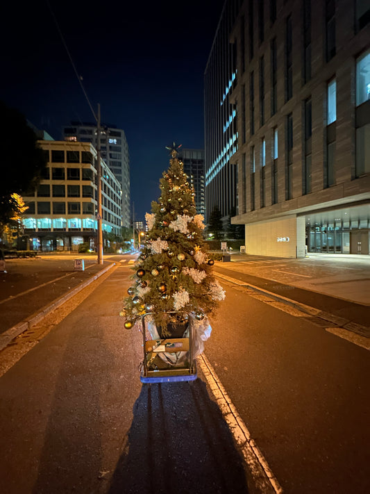 「クリスマスからお正月へ、季節の移ろいを楽しむ日々」