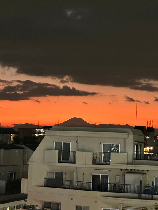 「後悔を力に変える：植物屋の私が日々感じていること」