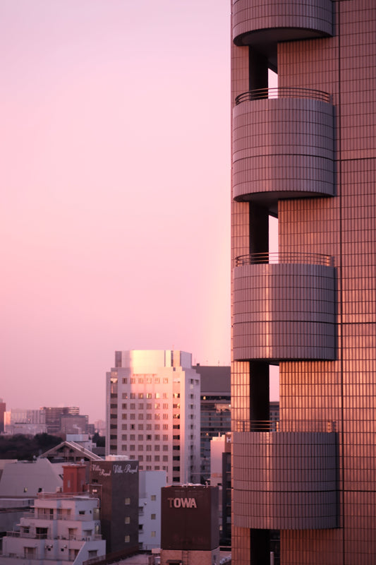 「寒暖差に負けない植物ケアのコツ」