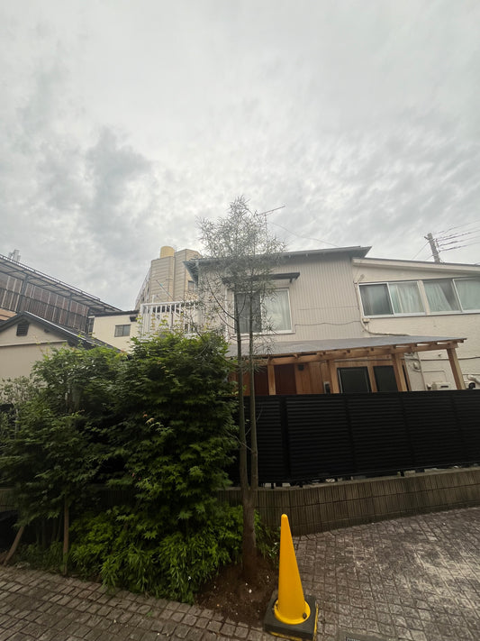 石川県 輪島 珠洲で震度5強