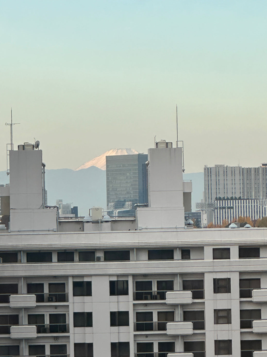 若い世代が経済対策を評価する理由｜物価高と原発再稼働をめぐる世論を読み解く