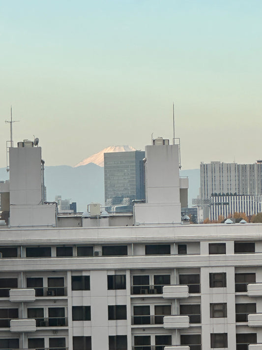 若い世代が経済対策を評価する理由｜物価高と原発再稼働をめぐる世論を読み解く