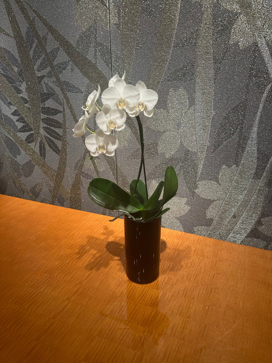 岡山が“物流の要”として注目される理由――中継需要の拡大と企業誘致の最前線