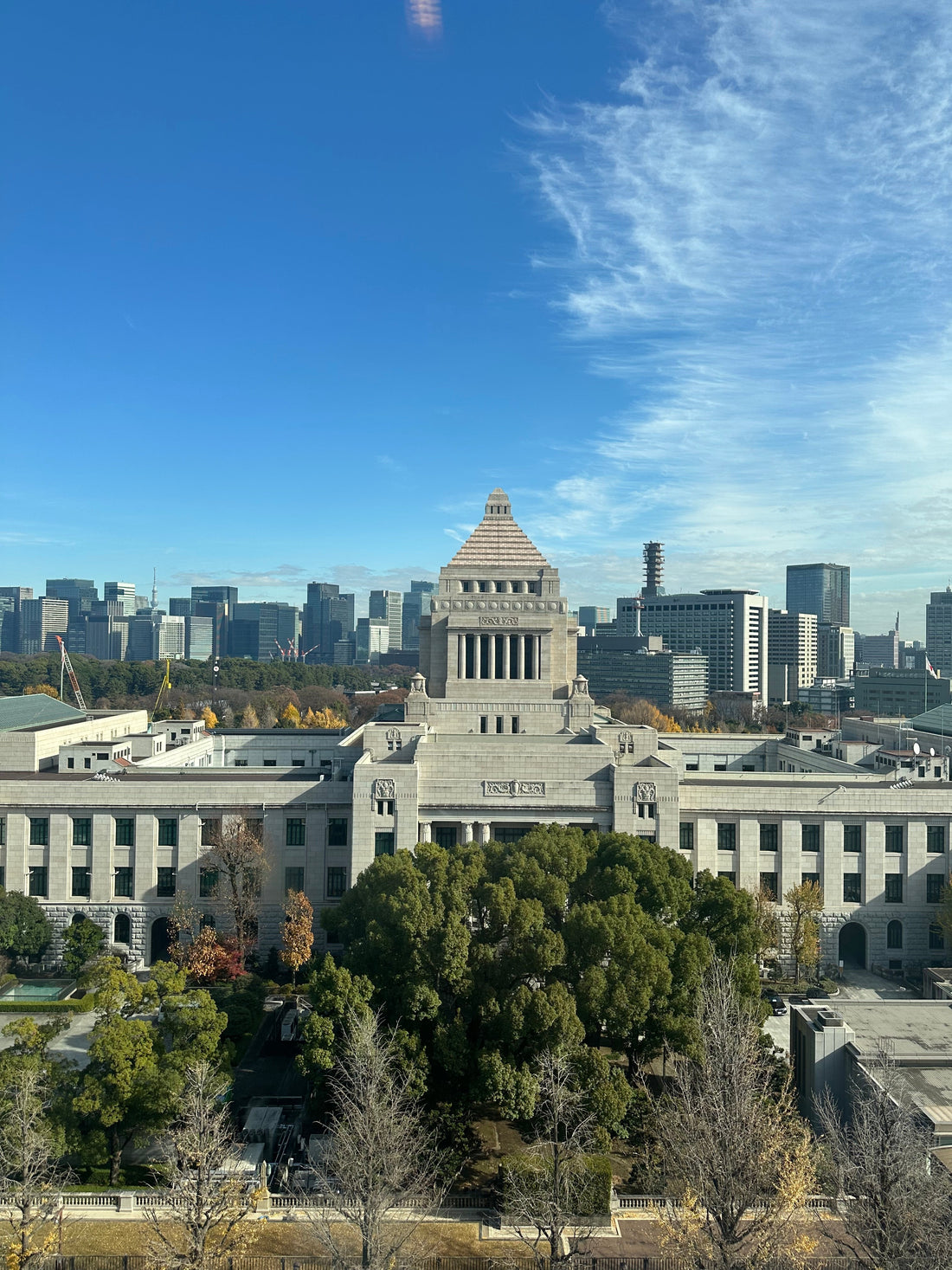 「日銀の12月利上げ観測が強まる中、植物業界の現場で感じる“お金の流れ”と向き合い方」