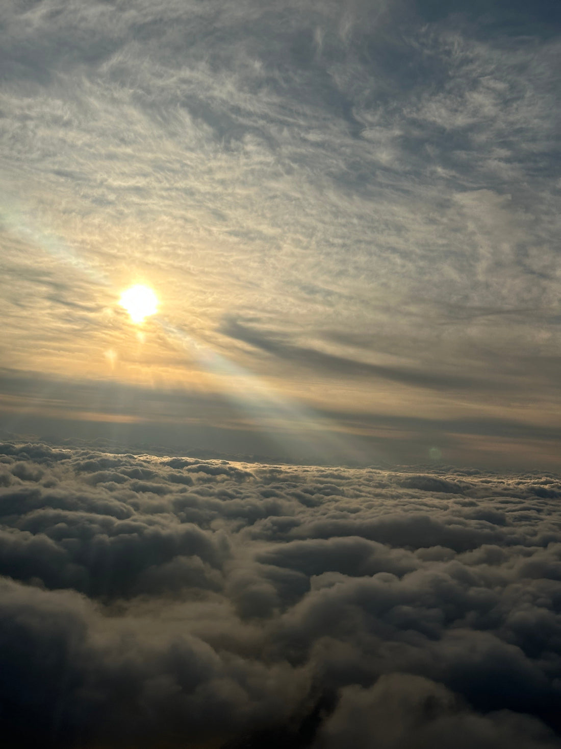 雲の上で感じた“太陽の力”｜大阪の大先輩へ年末のご挨拶で気づいたこと