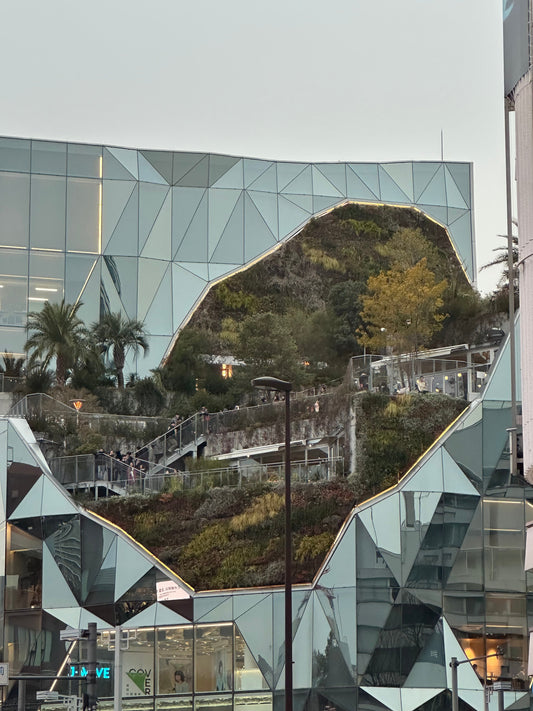 「原宿で出会った緑の驚き　配達途中に見つけたハラカド」