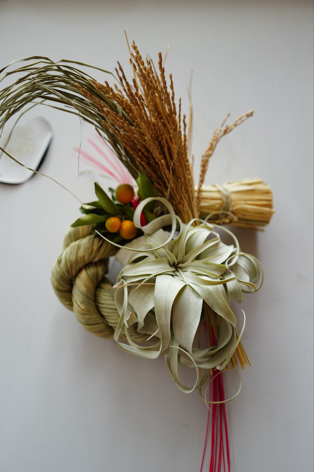 しめ縄の起源とは？意味や由来を植物屋の視点でやさしく解説