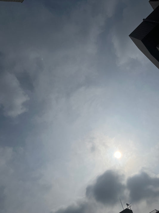 東京　都知事選　七夕